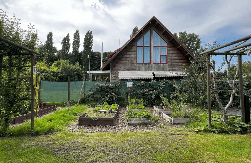 Moestuin en notenbomen